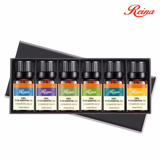 China Manufacture Hot Sale Low MOQ OEM/ODM Cosmetic Packaging Container Glass Perfume Bottle Massage Essential Oil Bottle with Plastic Lid Dropper Cap