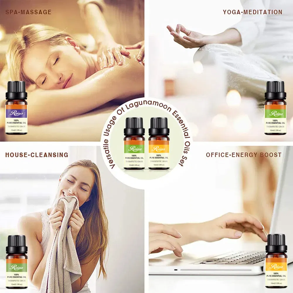 China Manufacture Hot Sale Low MOQ OEM/ODM Cosmetic Packaging Container Glass Perfume Bottle Massage Essential Oil Bottle with Plastic Lid Dropper Cap